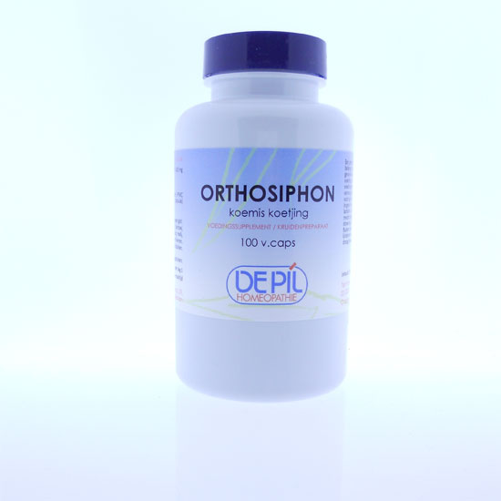 Orthosiphon