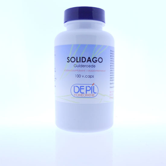 Solidago capsules