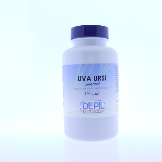 Uva ursi